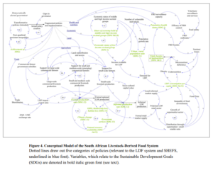 evolution of supply chains: Image shows a system dynamics model of the supply chains of the meat industry in South Africa